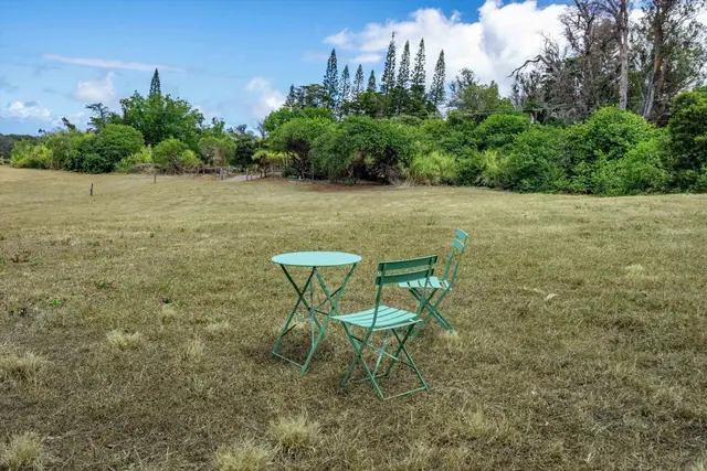 Listing Image for 1074 Olinda Rd B 4 of 16