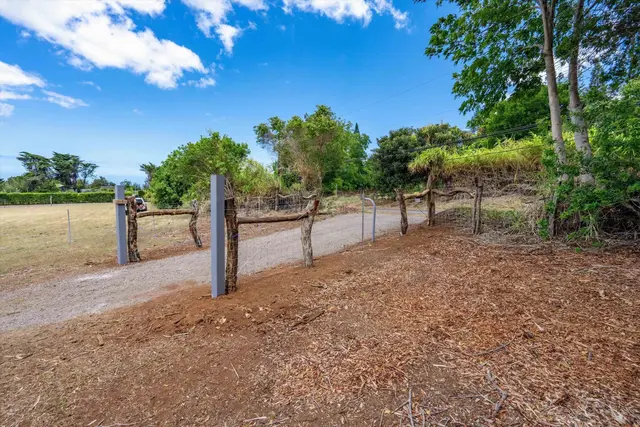 Listing Image for 1074 Olinda Rd B 8 of 16