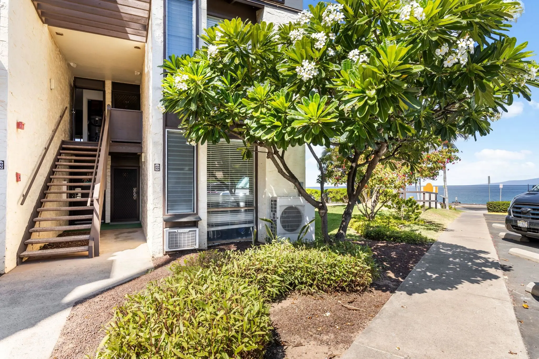 Photo of Listing #409087