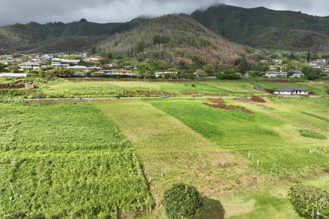 Listing Image for 622 Kauna Lipo Dr 13 of 46