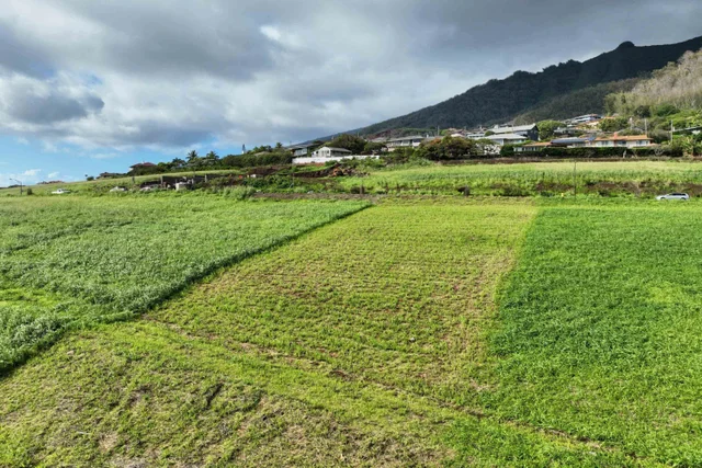 Listing Image for 622 Kauna Lipo Dr 26 of 46