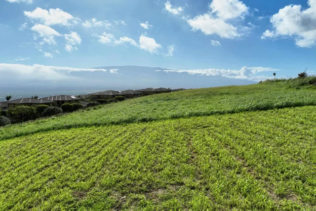 Listing Image for 622 Kauna Lipo Dr 27 of 46