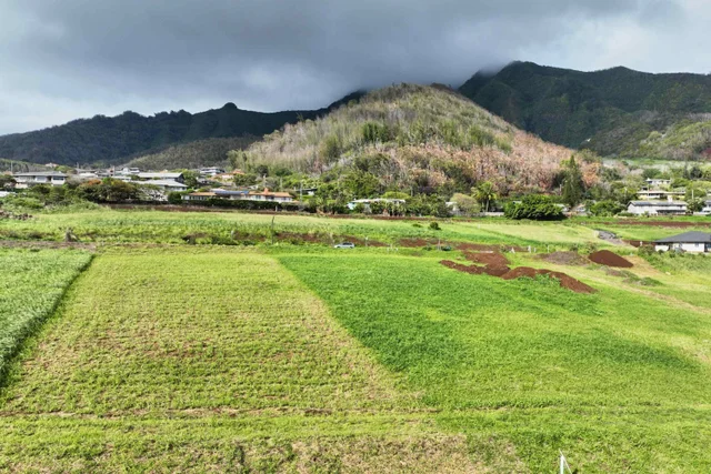 Listing Image for 622 Kauna Lipo Dr 29 of 46