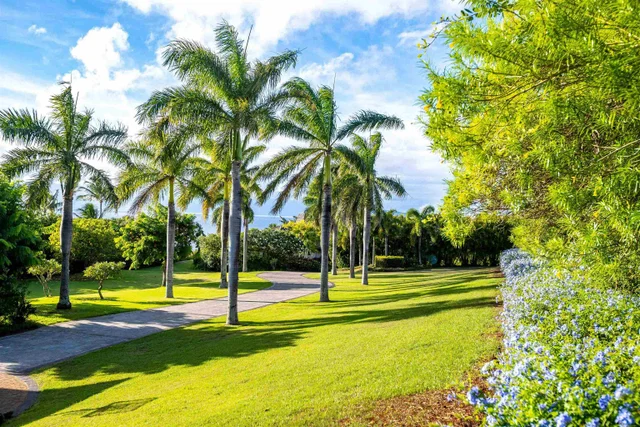 Listing Image for 203 Plantation Club Dr 16 of 20