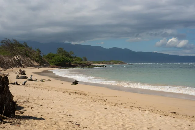 Listing Image for 462 Laulea Pl 46 of 50