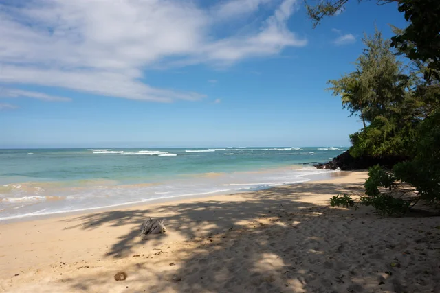 Listing Image for 462 Laulea Pl 47 of 50