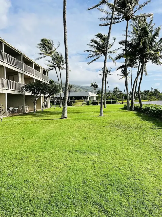 Listing Image for 7146 Kamehameha V Hwy A108 19 of 24