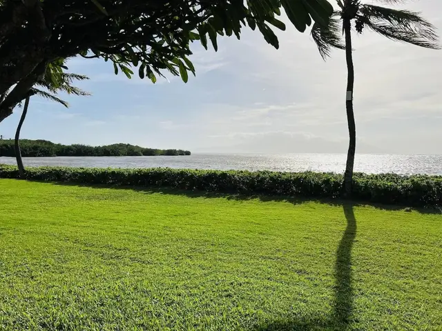 Listing Image for 7146 Kamehameha V Hwy A108 20 of 24