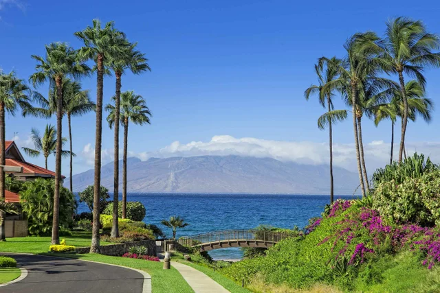Listing Image for 4000 Wailea Alanui Dr 901 48 of 48