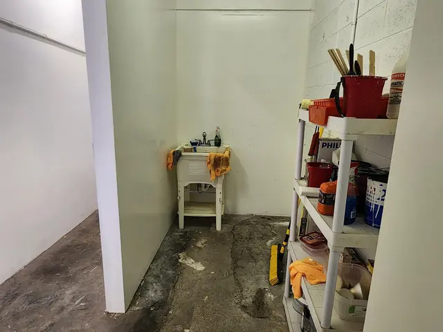 Listing Image for 401 Hookahi St Units 5 And 6 St 5 & 6 11 of 14