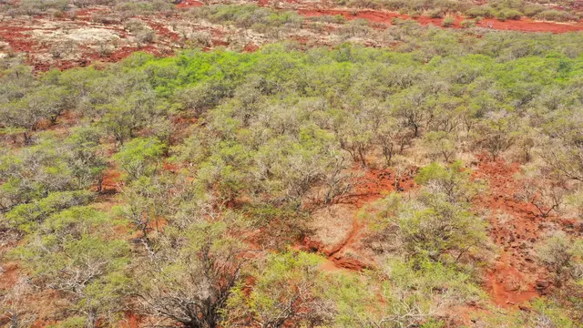 Listing Image for Hao Keehi Pl 11 of 20