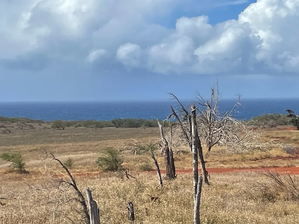 3300 Pohakuloa Rd, Molokai