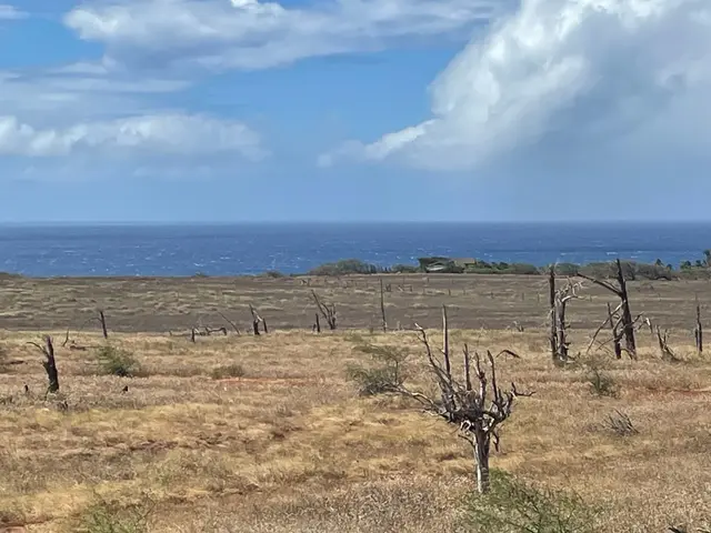 Listing Image for 3300 Pohakuloa Rd 25 of 25