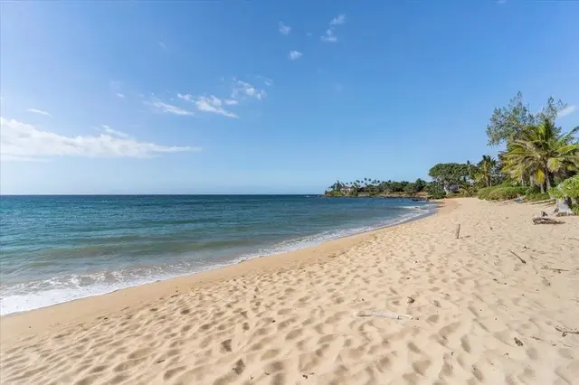 Listing Image for 33 Hana Hwy 2 of 48