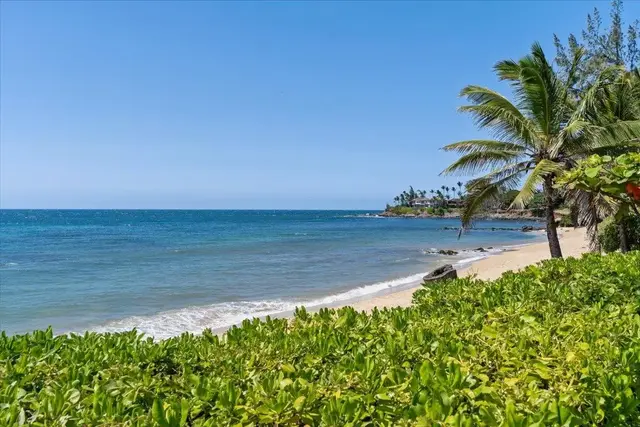 Listing Image for 33 Hana Hwy 26 of 48