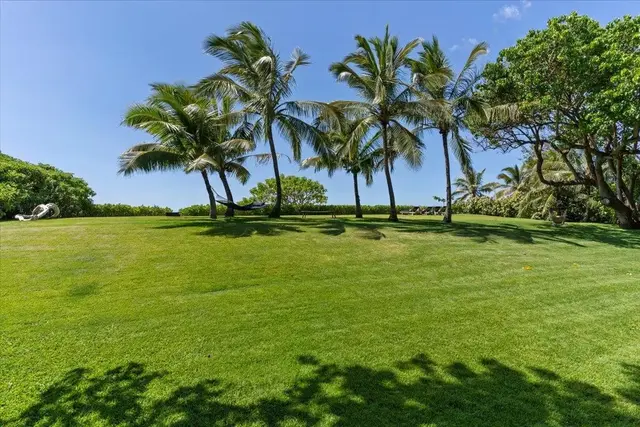Listing Image for 33 Hana Hwy 42 of 48