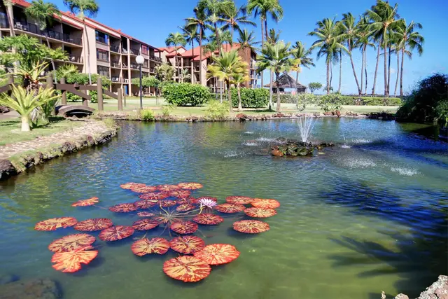 Listing Image for 3543 Lower Honoapiilani Rd K201 N 33 of 44