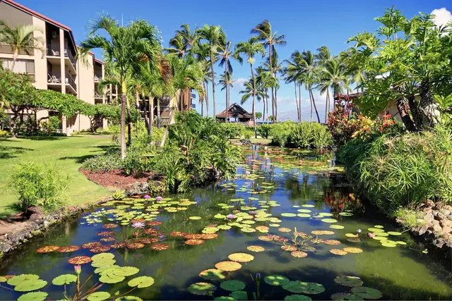 Listing Image for 3543 Lower Honoapiilani Rd K201 N 34 of 44