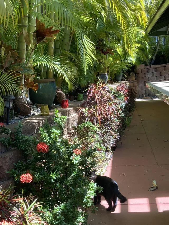 Listing Image for 15 Laukahi St 49 of 50