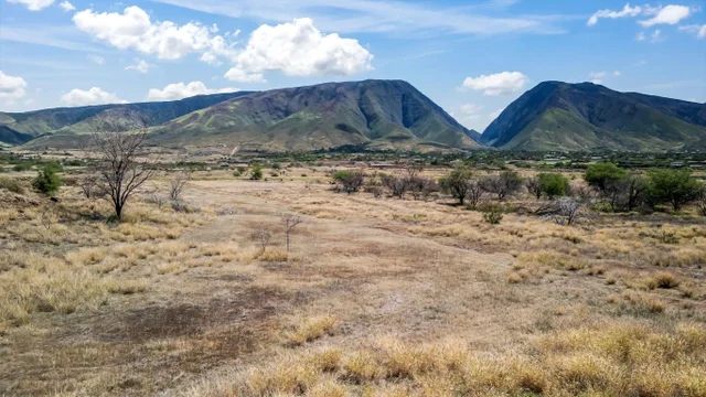 Listing Image for 1408 Waianukole St A/c 10 of 26