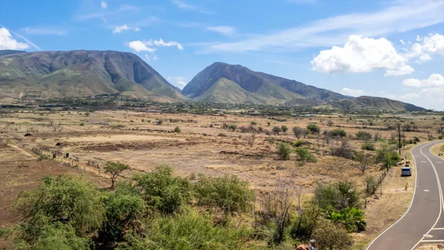 Listing Image for 1408 Waianukole St A/c 16 of 26