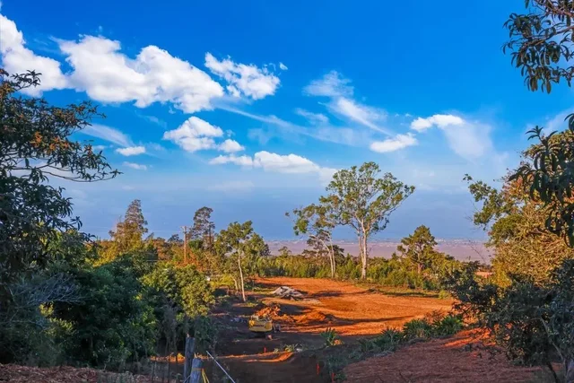 Listing Image for 0 Haleakala Hwy Unit 6 6 of 9