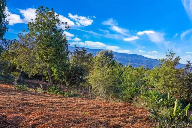 Listing Image for 0 Haleakala Hwy Unit 6 7 of 9