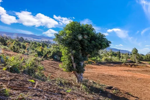 Listing Image for 0 Haleakala Hwy Unit 6 8 of 9