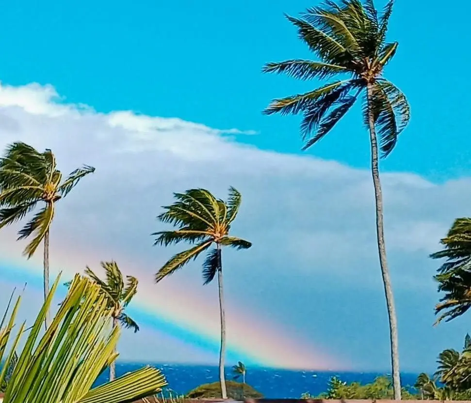 120 Hui Rd F I16, Napili/Kahana/Honokowai