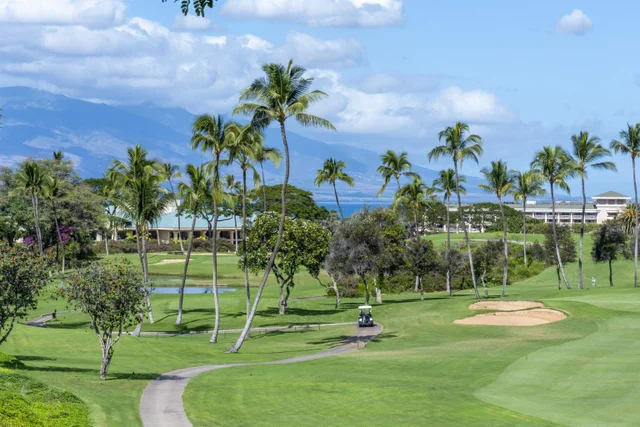 Listing Image for 172 Holomoana Way 11b 47 of 48