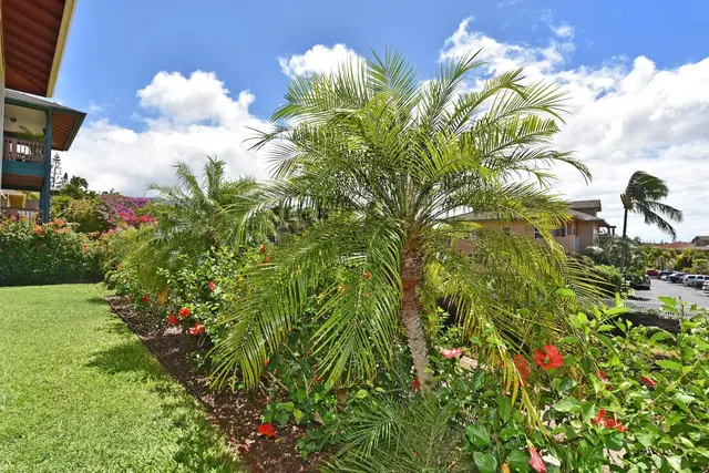 Listing Image for 12 Poinciana Pl 46 of 50