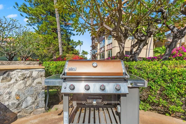 Listing Image for 2619 S Kihei Rd A403 43 of 43