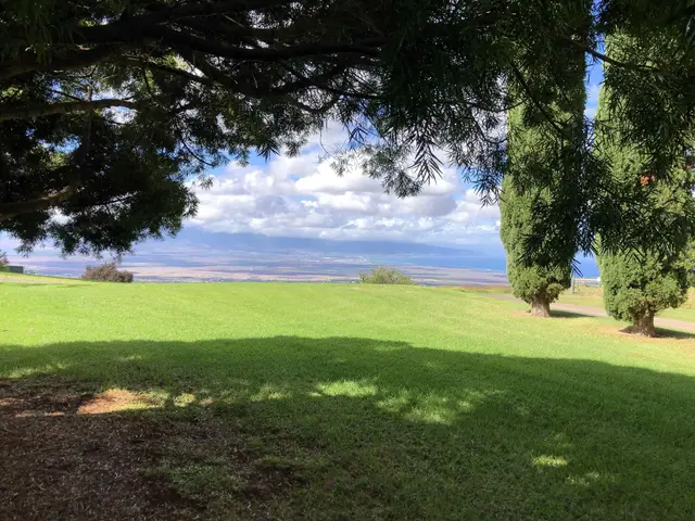 Listing Image for 101 Makanoe Pl 18 of 30