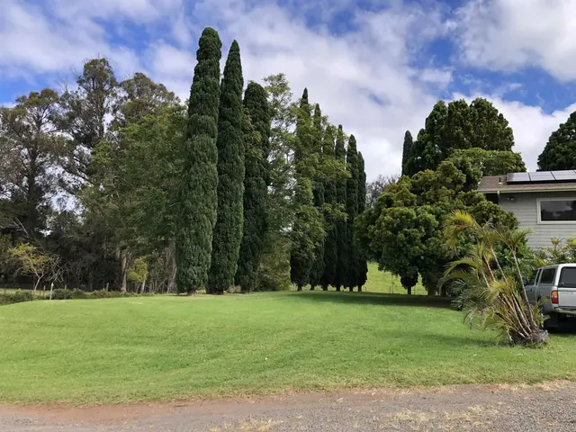 Listing Image for 101 Makanoe Pl 25 of 30