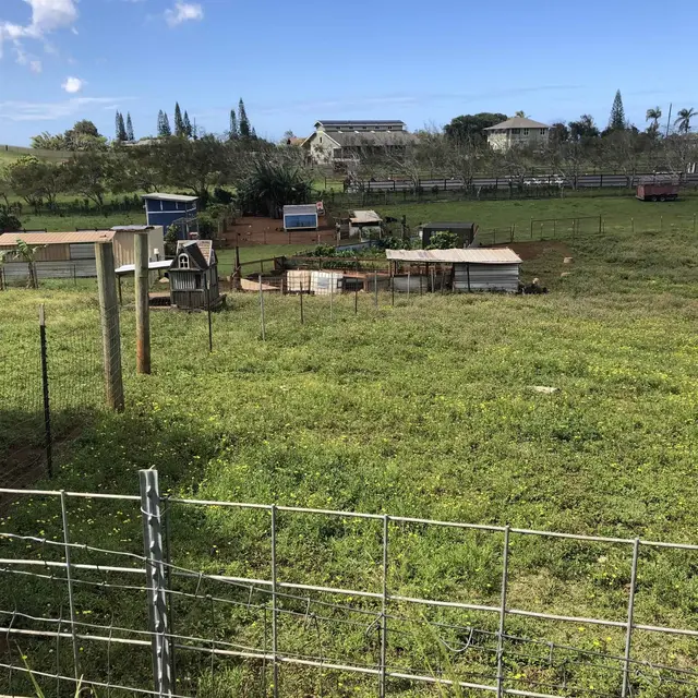 Listing Image for Pl 14 of 18