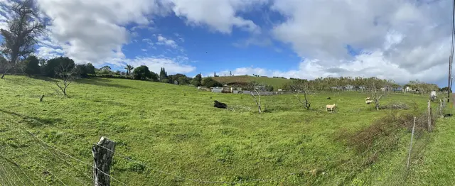 Listing Image for Pl 17 of 18
