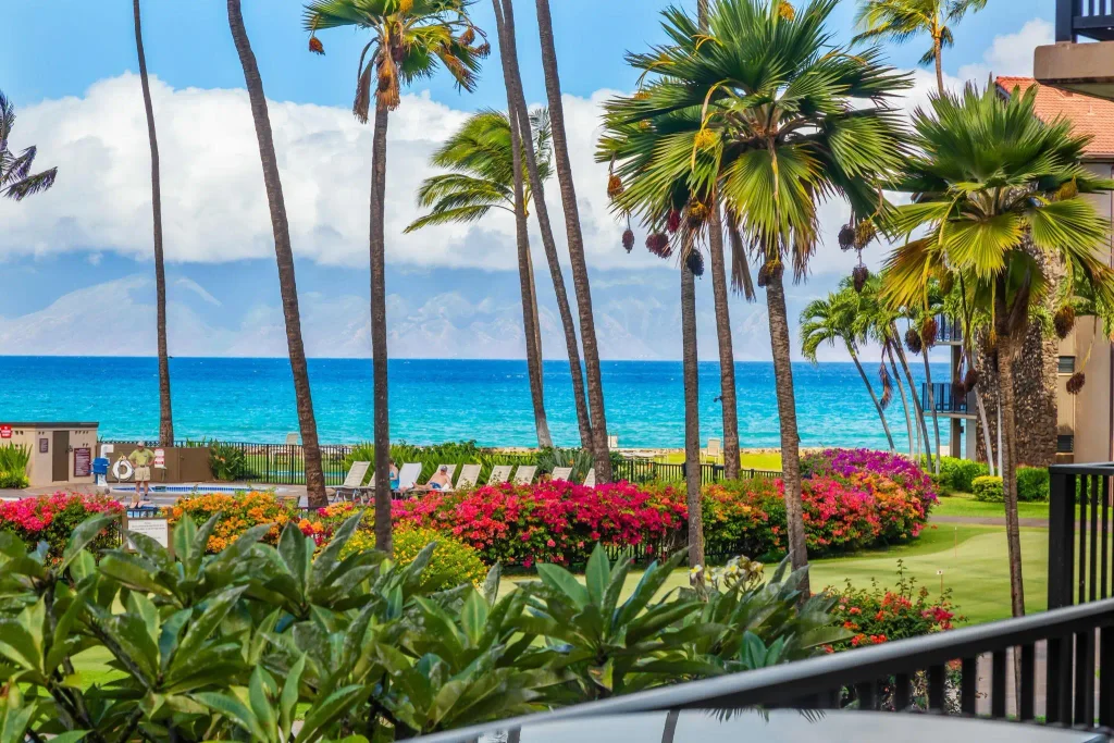 3543 Lower Honoapiilani Rd C204, Napili/Kahana/Honokowai