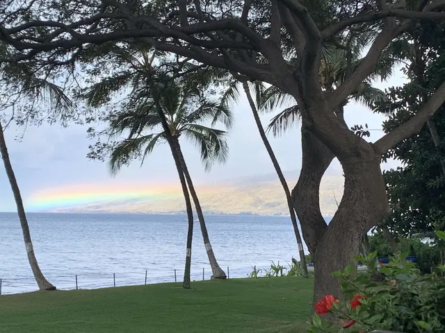 Listing Image for 191 N Kihei Rd 306 8 of 19