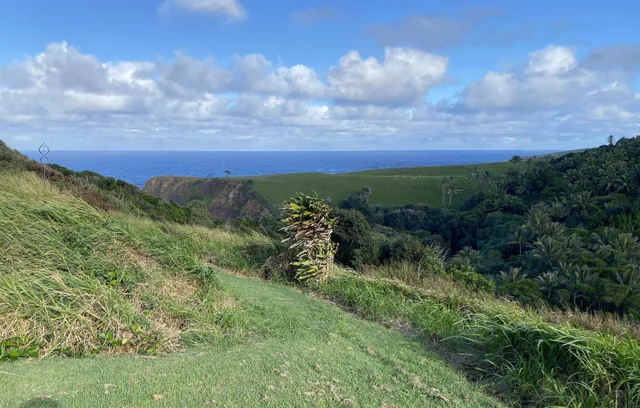 Listing Image for 700 Honopou Rd 700 Honopou Rd 10 of 50