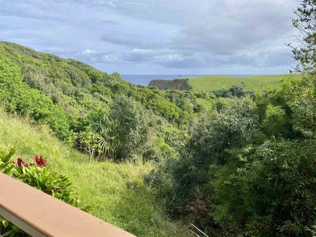 Listing Image for 700 Honopou Rd 700 Honopou Rd 15 of 50