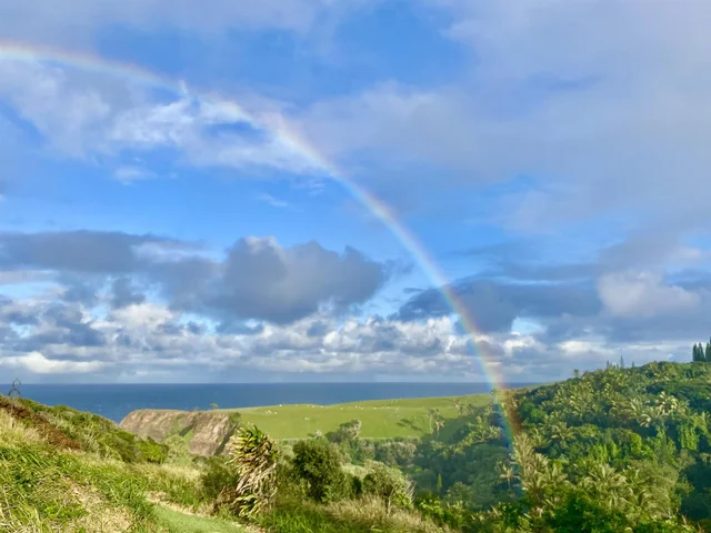 Listing Image for 700 Honopou Rd 700 Honopou Rd 2 of 50