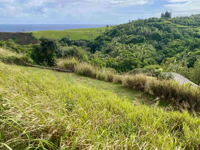 Listing Image for 700 Honopou Rd 700 Honopou Rd 21 of 50