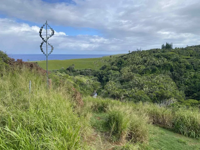 Listing Image for 700 Honopou Rd 700 Honopou Rd 24 of 50