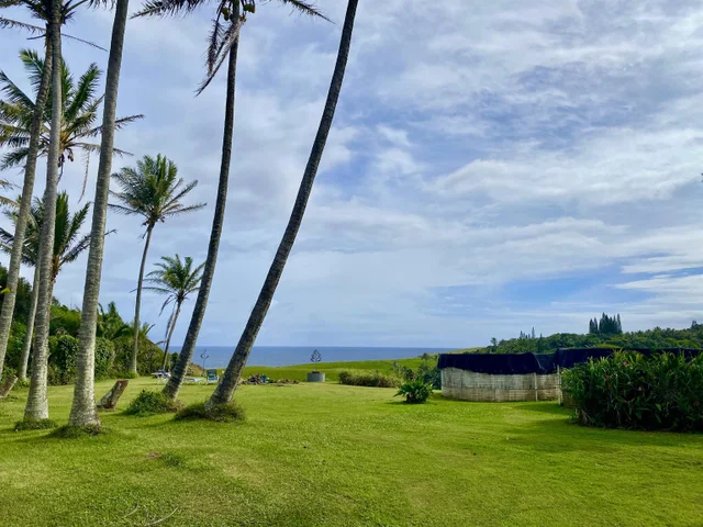 Listing Image for 700 Honopou Rd 700 Honopou Rd 30 of 50