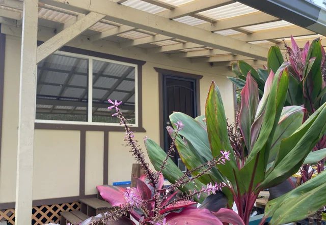 Listing Image for 700 Honopou Rd 700 Honopou Rd 40 of 50