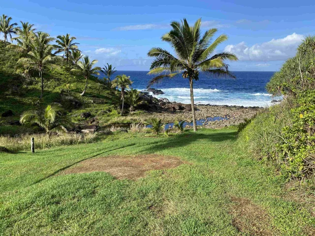 Listing Image for 700 Honopou Rd 700 Honopou Rd 47 of 50