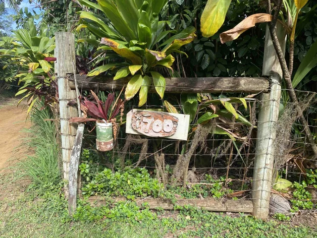 Listing Image for 700 Honopou Rd 700 Honopou Rd 50 of 50