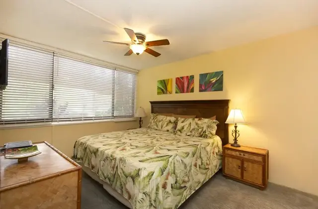 Listing Image for 2695 S Kihei Rd 8-111 16 of 32