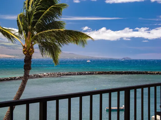 Listing Image for 20 Hauoli St 312 25 of 28