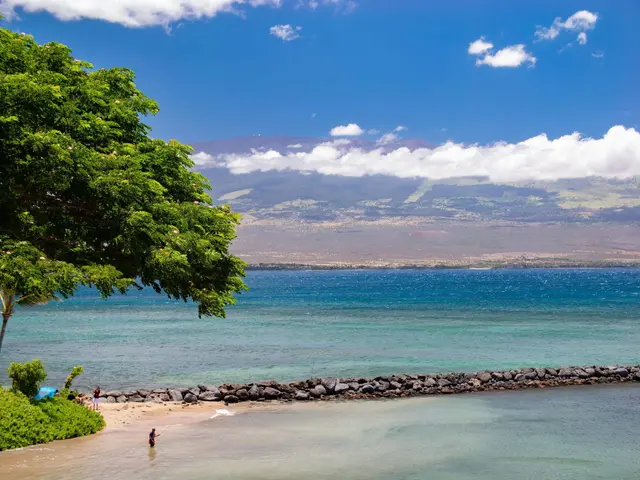 Listing Image for 20 Hauoli St 312 5 of 28